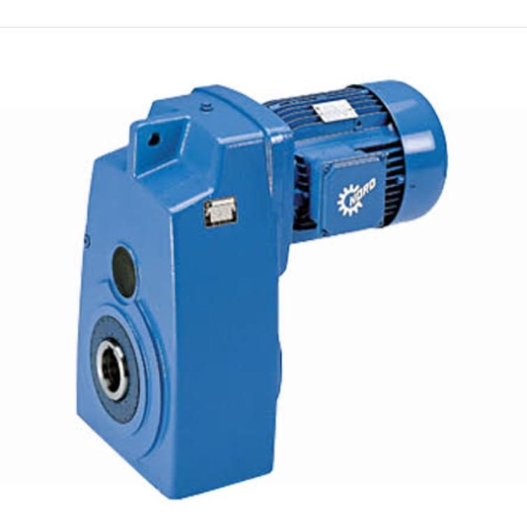 Parallel shaft geared motor